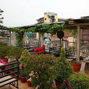 book here